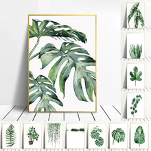 Load image into Gallery viewer, Scandinavian Style Tropical Plants