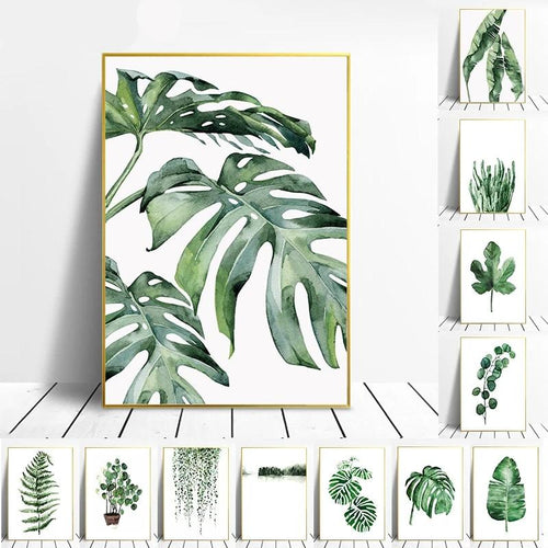 Scandinavian Style Tropical Plants