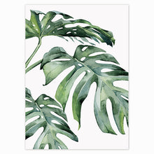 Load image into Gallery viewer, Scandinavian Style Tropical Plants