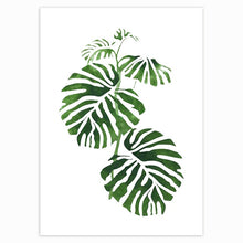 Load image into Gallery viewer, Scandinavian Style Tropical Plants