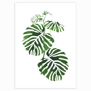 Scandinavian Style Tropical Plants