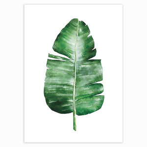 Scandinavian Style Tropical Plants